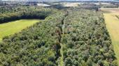 St-Christophe-d'Arthabaska (Centre-du-Qubec) : Terre  bois de 27,57 acres, rablire.