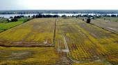 Fassett (Outaouais) : Terre cultivable de 98,57 acres, draine  50 %, loam argileux. 