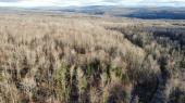 Newport (Estrie) : Terre  bois 301 acres, potentiel acricole +/- 10 000 entailles, chasse, 