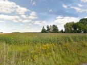 St-Bernard-de-Michaudville | Montrgie, terre de grande culture, sable fin loameux avec maison