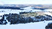 St-Julien (Chaudire-Appalaches) : Terre de 350 acres avec 101 acres en culture, fort de 248 acres,