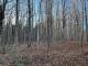 Newport (Estrie) : Terre  bois 301 acres, potentiel acricole +/- 10 000 entailles, chasse,