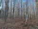 Newport (Estrie) : Terre  bois 301 acres, potentiel acricole +/- 10 000 entailles, chasse,