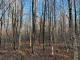 Newport (Estrie) : Terre  bois 301 acres, potentiel acricole +/- 10 000 entailles, chasse,