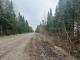 Ste-Apolline-de-Patton (Chaudire-Appalaches) : Terre  bois de 353 acres vaste territoire de chasse