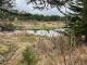 Ste-Apolline-de-Patton (Chaudire-Appalaches) : Terre  bois de 205 acres, territoire de chasse