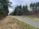 Ste-Apolline-de-Patton (Chaudire-Appalaches) : Terre  bois de 205 acres, territoire de chasse