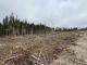 Ste-Apolline-de-Patton (Chaudire-Appalaches) : Terre  bois de 205 acres, territoire de chasse