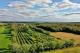 Ste-Angle-de-Monnoir, maison de campagne avec verger  vendre, 18 acres