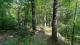 Ste-Eulalie (Centre-du-Qubec) : Terre  bois de 238 acres, chasse, chemin forestier, plantation, 