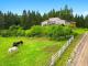 Chute-Saint-Philippe (Laurentides) : Domaine | ferme de 48.68 acres, 3 maisons, curie 7 boxes