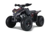 VTT TAO REX 125CC AUTOMATIQUE + RECULONS EN SUPER SPCIAL